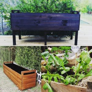 Macetas hortaliceras