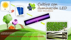 AGROFOTOVOLTAICA