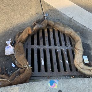 Matt De Pelo Para Limpieza Del Agua