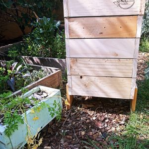 Vermicompostera Natural de 5 niveles