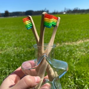 Cepillos de bambú colores varios